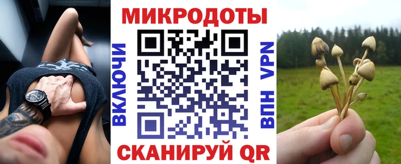 цены наркотик Кызыл Галлюциногенные грибы Psilocybine cubensis