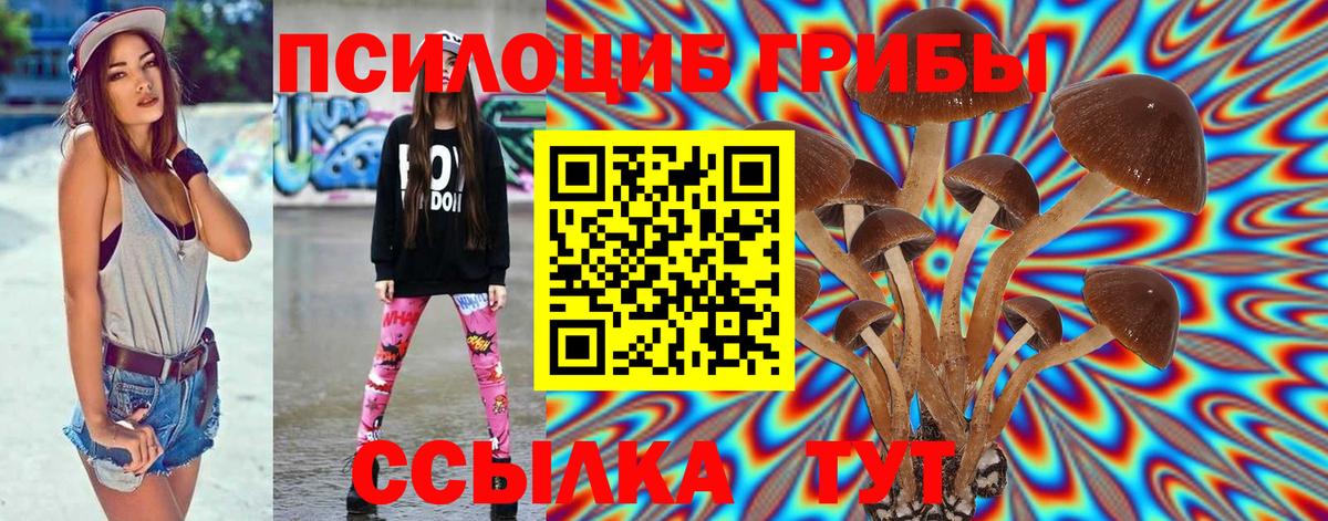 Галлюциногенные грибы прущие грибы Кызыл