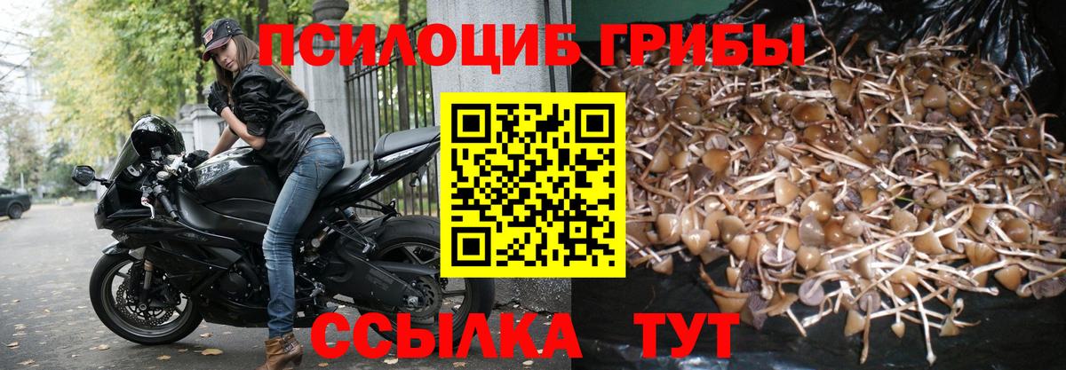 Кызыл  цена наркотик  Вход с VPN  Галлюциногенные грибы прущие грибы 